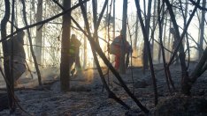 41 сигнали за пожари са постъпили в РД ПБЗН – Варна тази неделя