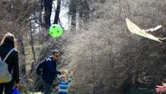 Екопаркът във Варна отваря за граждани