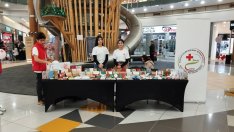 БЧК ще зарадва с подаръци децата, които посрещат празниците в "Терапията" 