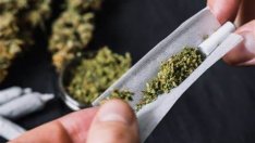 Заловиха над 50 кг марихуана