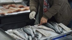 Никулден идва и от БАБХ поеха по тържища и магазини. Дебнат за шараните