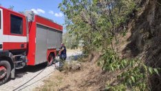 Нов пожар горя край Варна