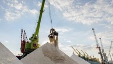 Земеделският министър предлага отмяна на забраната за внос на украинско зърно