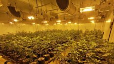 "Домашен арест" за 58-годишен мъж, гледал марихуана край Варна