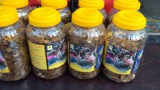 Благотворителната акция "Жълти стотинки"  от утре идва във Варна