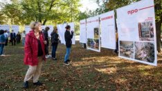 Редят изложба край Кривото дърво във Варна