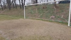 Футболист почина по време на мач в Девня