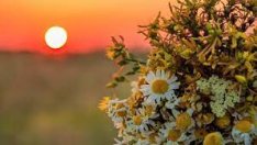 Еньовден е! Църквата празнува рождението на св. Йоан Кръстител