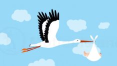 Виц на деня - 19 декември