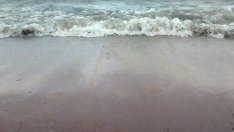 Мазни петна притесниха плажуващи край Трета буна във Варна