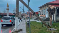 Изкоренено от вятъра дърво счупи ел. стълбове в Шуменско