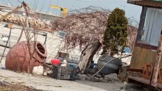 Кашпа на "Карантината", не мини като саксии са! Рибарски улов се оказва