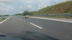 Засилен трафик в страната в първия от поредицата почивни дни