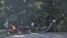 Организаторите на ралито: На мястото на трагедията беше забранено за публика