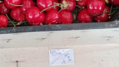 Промоция! Пуснаха череши за 45 лв. килото