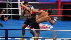 Четирима сърби ще се качат на ринга в SENSHI 20