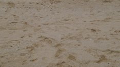 Започват проверки за неправилно паркиране по плажовете