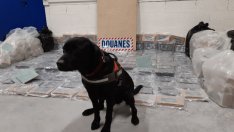 Задържаха двама българи с 578 кг кокаин 