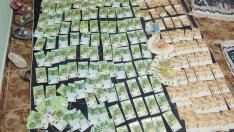 Над 30 000 евро иззети при претърсвания в Добрич при акция "Бяло"