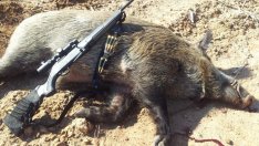 Трихинелозата пълзи към Варна!