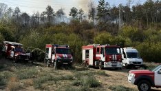 Локализираха пожара край "Аспарухово“ (СНИМКИ)