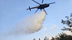 97 пожари са потушени в страната за изминалото денонощие