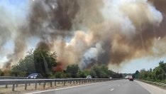 Огромен пожар близо до Варна