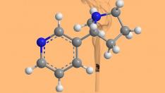 Никотинът не е основният виновник за заболяванията, свързани с пушенето