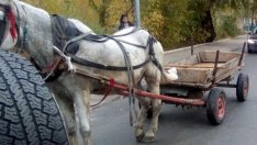 Поредна трагедия на пътя: Моторист загина след удар в каруца