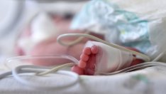 Трагедия: Бебе почина след менингококова инфекция