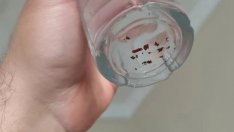 Мръсна вода тече от чешмите във Варна