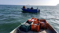 Масирани проверки на ИАРА край Варна