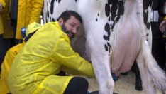 Доим био клетки? Изкуственото мляко не е фантастика, то вече е факт...