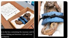 Мумия на русалка в будистки храм! Учените с уникална СНИМКА