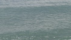 МСКЦ Варна спаси 10 моряци от потъващ кораб в Черно море