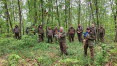 Започва инвентаризация на горите край Провадия