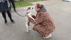 Две кученца от приюта в с. Каменар намериха своите стопани след кампанията „(НЕ) сам вкъщи“