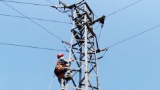 Енергото подготви мрежата в Североизточна България за работа през есенно-зимния период