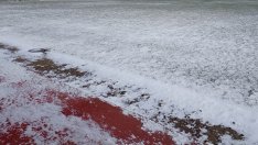 Снегът затвори и спортните игрища във Варна