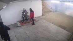 Издирват мъж, откраднал коледна елха (ВИДЕО)