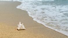 Тръгна процедура за концесия на морски плаж „Кабакум - централен“