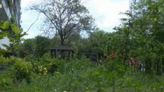 "Традиционно" преди сезона: Варна пак заприлича на ...савана