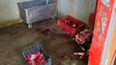 БАБХ разкри незаконна кланица в частен имот