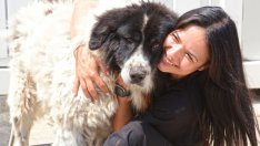 Създадоха нови пространства за разходка на безстопанствените кучета в Каменар