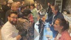 Развиват винения туризъм у нас. 42 изби се представиха на фест във Варна