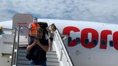 Ваксините ще рестартират туризма