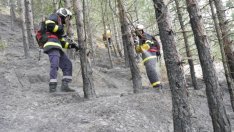 Над 60 дка. гори изгоряха за година в Североизточна България