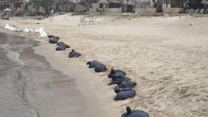 Почистиха замърсения плаж във Варна още в първите часове след разлива