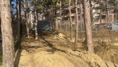 Проверка на Община Варна: Няма сеч в района на Паметника на "Почивка"