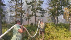 Около 500 дка широколистна гора гори между селата Блъсково и Чайка